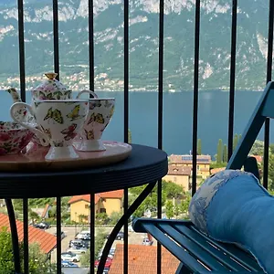 https://stella-volante.it-lombardy.com